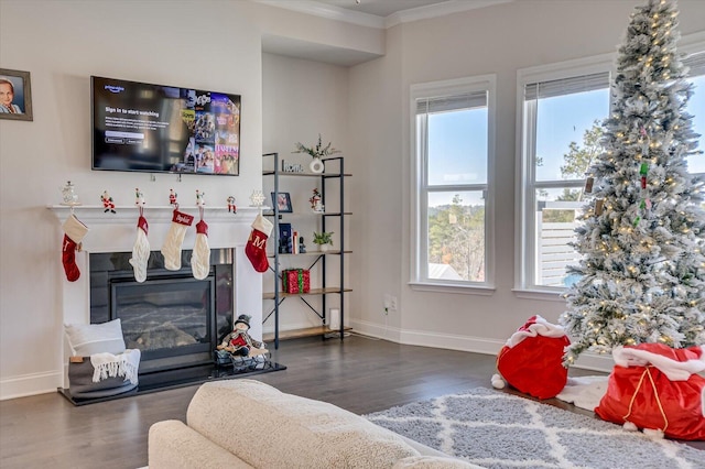 living room with dark hardwood / wood-style flooring and ornamental molding