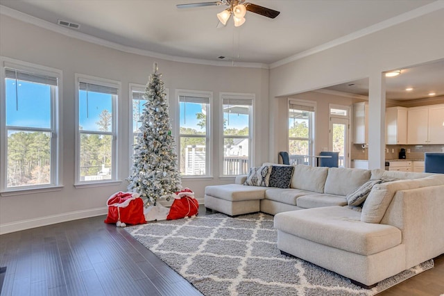 living room with ceiling fan, crown molding, and dark hardwood / wood-style floors