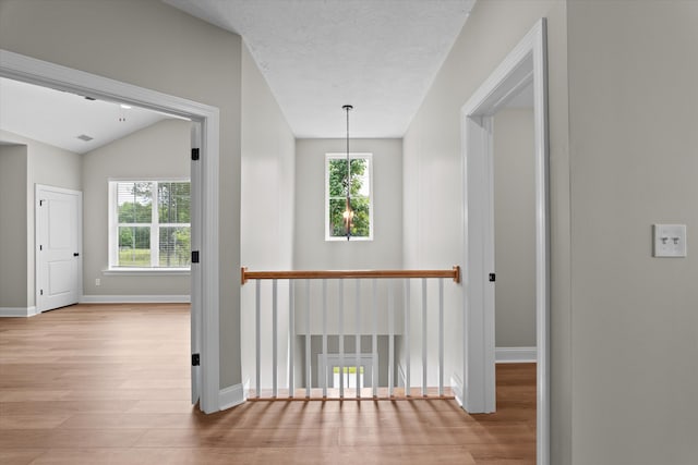651 Moose Club Rd, Thomson, GA 30824 - corridor featuring wood finished floors, healthy amount of natural light, baseboards, and lofted ceiling