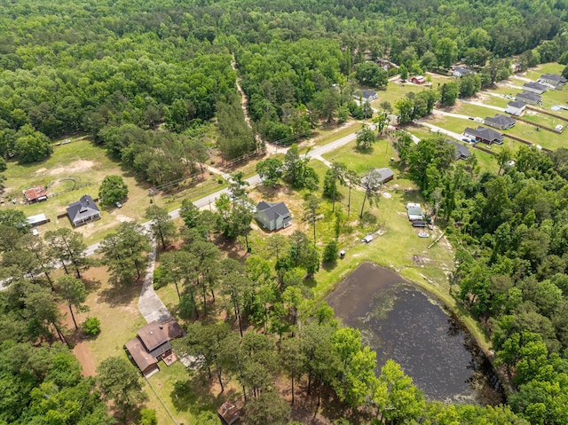 651 Moose Club Rd, Thomson, GA 30824 - aerial view of a forest and a nearby body of water