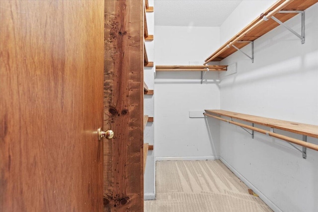 spacious closet featuring light carpet