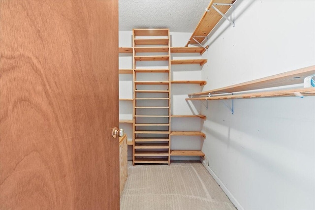 spacious closet with light carpet