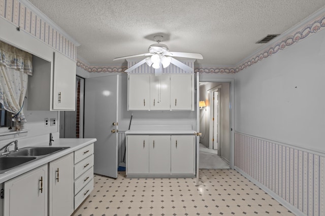 118 E Hale St, Augusta, GA 30901 - kitchen with light countertops, a sink, ceiling fan, white cabinetry, and a textured ceiling