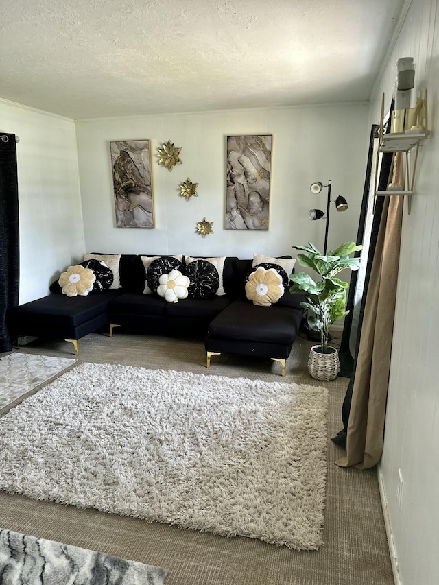 carpeted living room featuring a textured ceiling