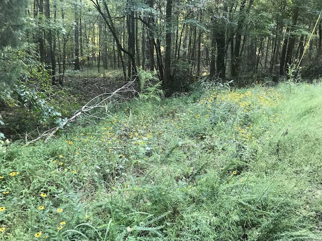 1163 Backway Rd, Lincolnton, GA 30817