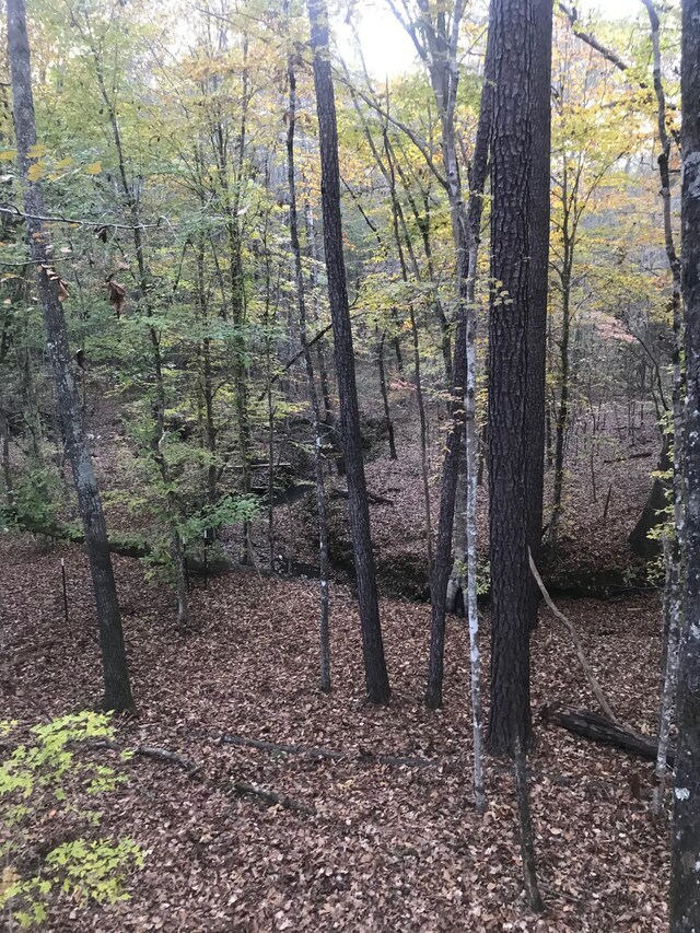 1163 Backway Rd, Lincolnton, GA 30817