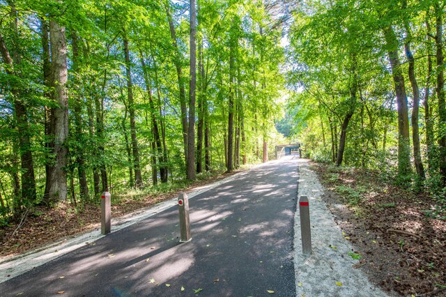 503 Mckenzie Ct, North Augusta, SC 29841 - view of asphalt driveway with a view of trees