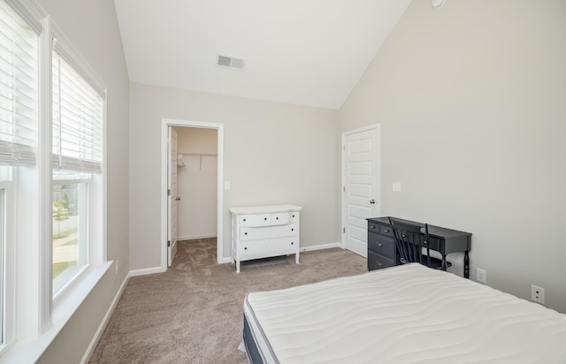 6047 Bakerville Ln, North Augusta, SC 29860 - bedroom featuring light carpet, multiple windows, a walk in closet, and high vaulted ceiling