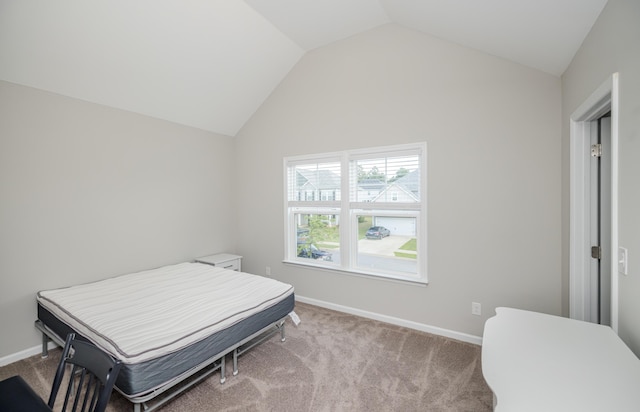 6047 Bakerville Ln, North Augusta, SC 29860 - bedroom with lofted ceiling and carpet floors