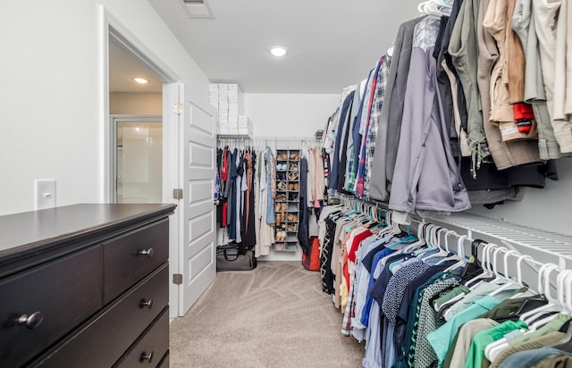 6047 Bakerville Ln, North Augusta, SC 29860 - walk in closet with light carpet