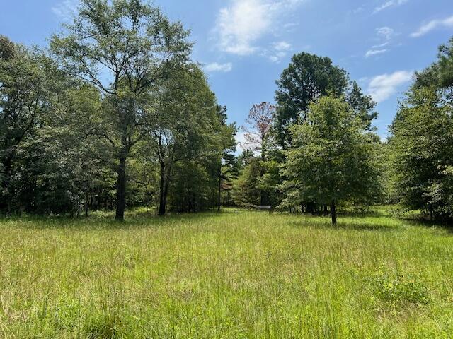 3395 Gough Rd, Louisville, GA 30434 - photo 22
