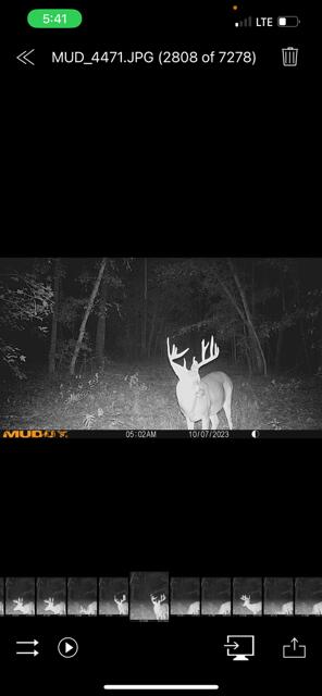 3395 Gough Rd, Louisville, GA 30434 - photo 30