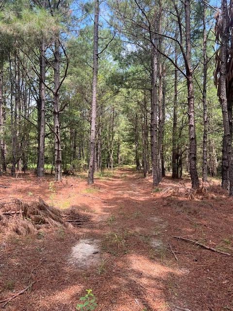 3395 Gough Rd, Louisville, GA 30434 - photo 13