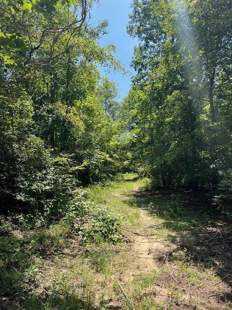 3395 Gough Rd, Louisville, GA 30434 - photo 18