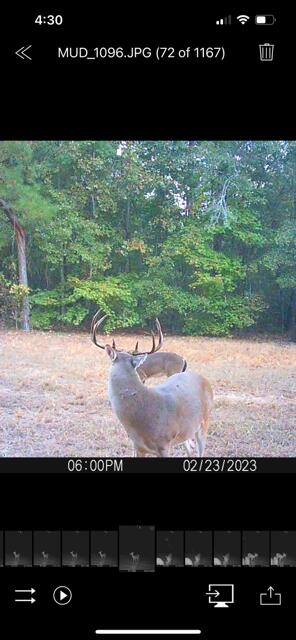3395 Gough Rd, Louisville, GA 30434 - photo 31