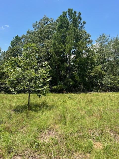 3395 Gough Rd, Louisville, GA 30434 - photo 25
