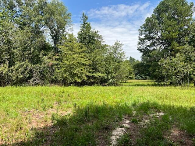 3395 Gough Rd, Louisville, GA 30434 - photo 24