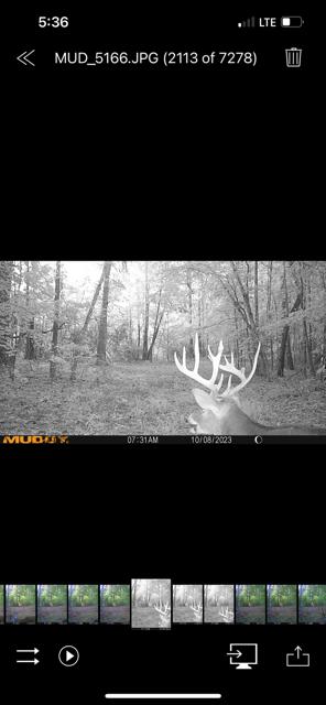 3395 Gough Rd, Louisville, GA 30434 - photo 29
