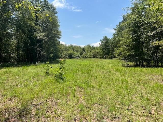 3395 Gough Rd, Louisville, GA 30434 - photo 27
