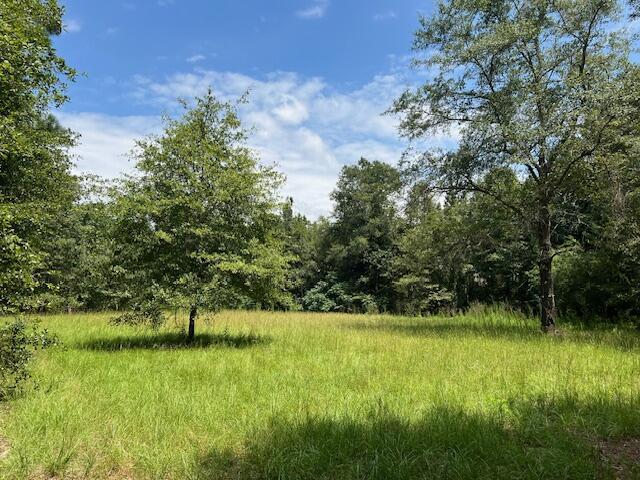 3395 Gough Rd, Louisville, GA 30434 - photo 23