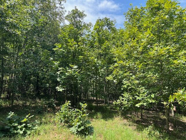 3395 Gough Rd, Louisville, GA 30434 - photo 20