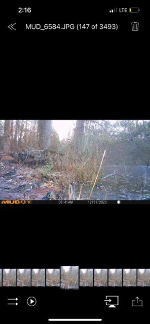 3395 Gough Rd, Louisville, GA 30434 - photo 32