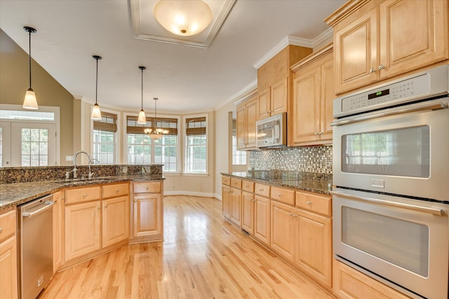 kitchen with appliances with stainless steel finishes, a sink, light brown cabinetry, and ornamental molding