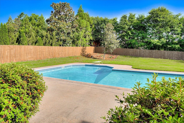 view of swimming pool
