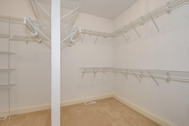 spacious closet featuring light carpet
