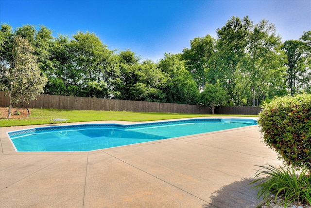view of pool with a patio and view of wooded area