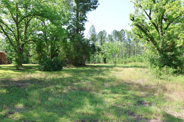 3276 Perkins Hiltonia Rd, Millen, GA 30442 - photo 5