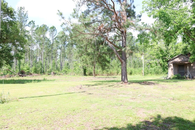 3276 Perkins Hiltonia Rd, Millen, GA 30442 - photo 21
