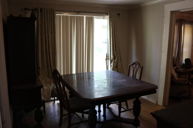 3276 Perkins Hiltonia Rd, Millen, GA 30442 - photo 15