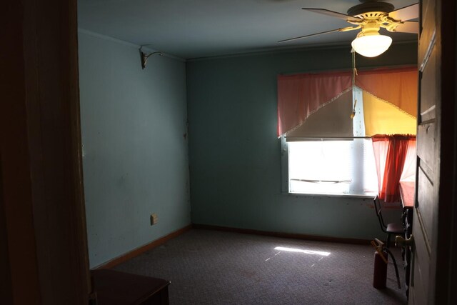 3276 Perkins Hiltonia Rd, Millen, GA 30442 - photo 10