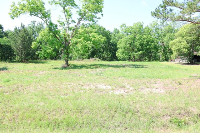 3276 Perkins Hiltonia Rd, Millen, GA 30442 - photo 8