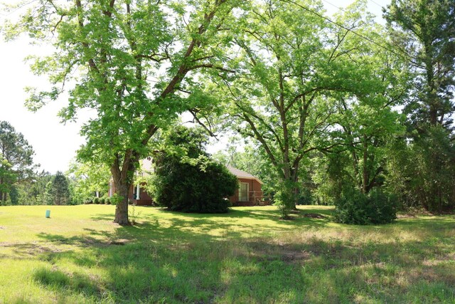 3276 Perkins Hiltonia Rd, Millen, GA 30442 - photo 6