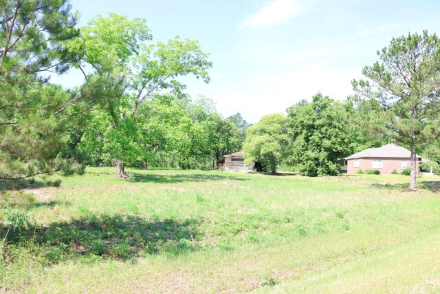 3276 Perkins Hiltonia Rd, Millen, GA 30442 - photo 9