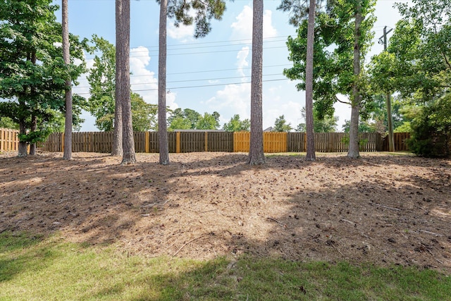 4256 Aerie Cir, Evans, GA 30809 - view of yard