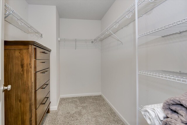1904 Butternut Dr, Grovetown, GA 30813 - photo 25