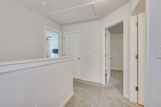1904 Butternut Dr, Grovetown, GA 30813 - photo 21