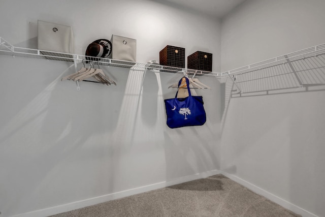 778 Count Fleet Ct, Graniteville, SC 29829 - spacious closet featuring carpet