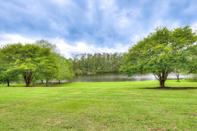 81 Two Mile Dr, Johnston, SC 29832 - view of green lawn with a water view