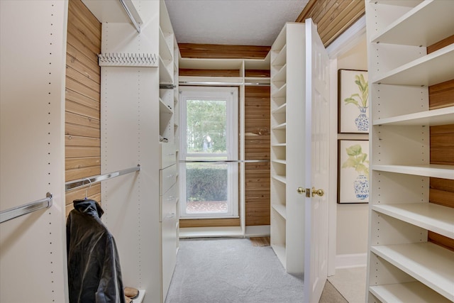 81 Two Mile Dr, Johnston, SC 29832 - walk in closet with carpet floors