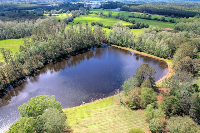 81 Two Mile Dr, Johnston, SC 29832 - drone / aerial view of a large body of water