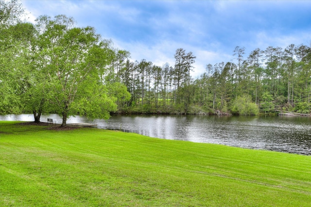 81 Two Mile Dr, Johnston, SC 29832 - water view