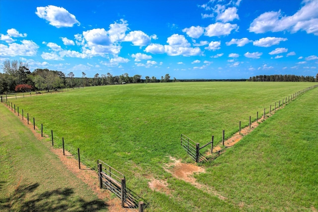 81 Two Mile Dr, Johnston, SC 29832 - view of yard featuring a view of rural / pastoral area