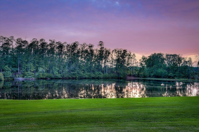 81 Two Mile Dr, Johnston, SC 29832 - water view