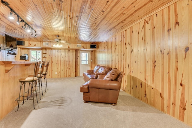 81 Two Mile Dr, Johnston, SC 29832 - living room featuring carpet flooring, wooden ceiling, wood walls, and track lighting