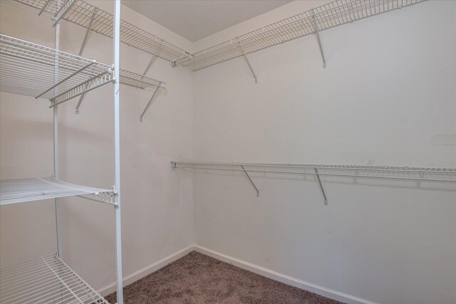 4620 Country Glen Cir, Grovetown, GA 30813 - walk in closet with carpet