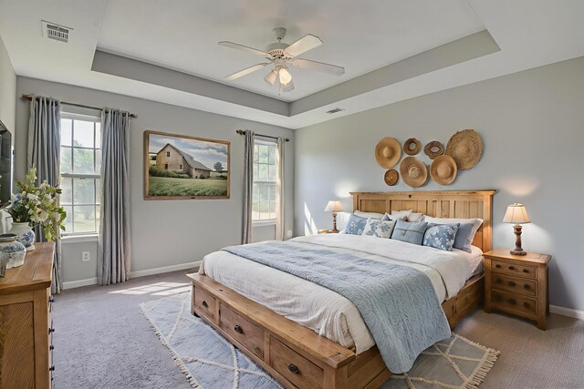 4620 Country Glen Cir, Grovetown, GA 30813 - bedroom featuring light colored carpet, a tray ceiling, baseboards, and multiple windows